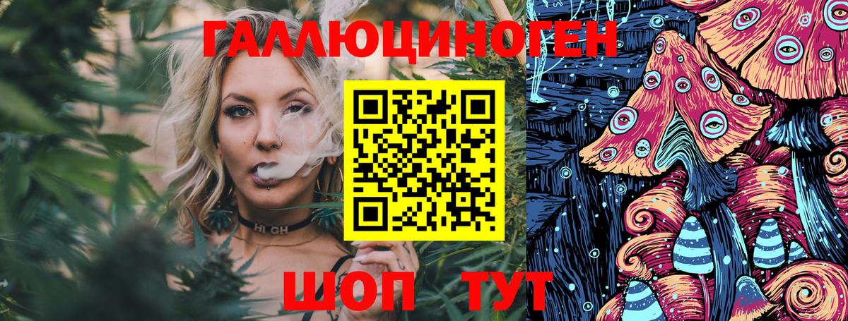 Галлюциногенные грибы Psilocybine cubensis Каменка